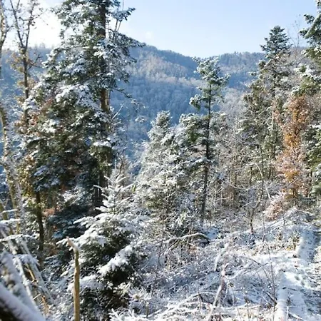 Casa de Férias Staufen *